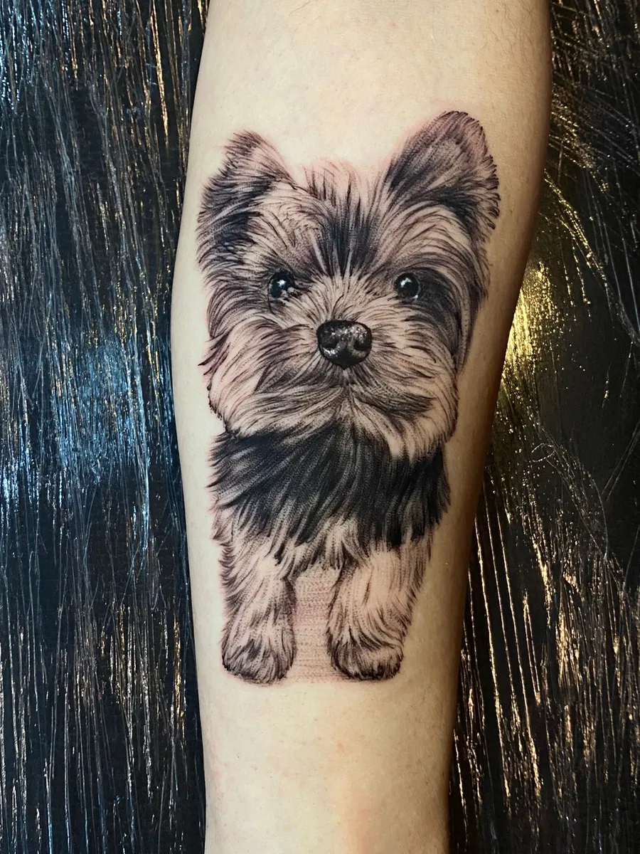 Retrato realista de cachorro yorkshire no antebraço