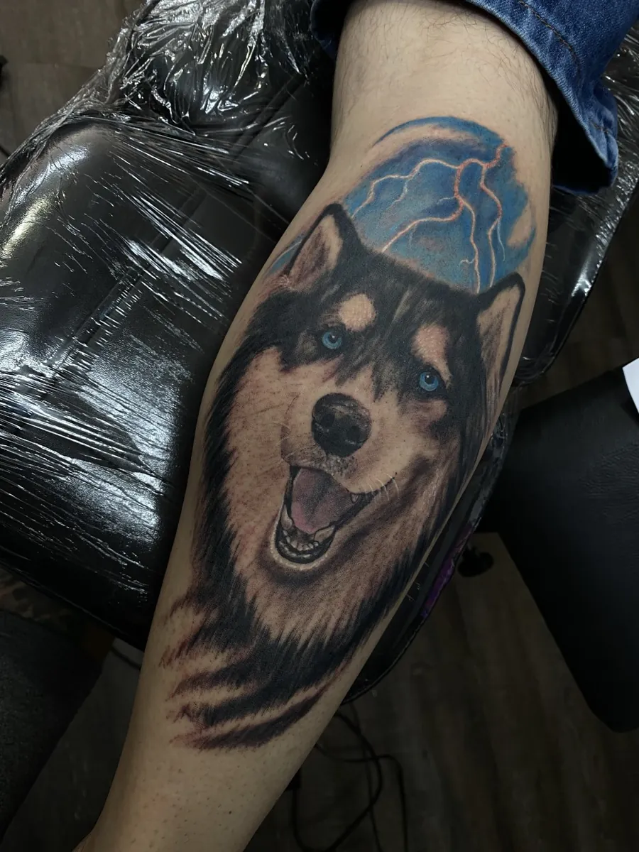 Tatuagem realista de lobo no antebraço